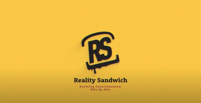 Reality Sandwich words written on a yellow background